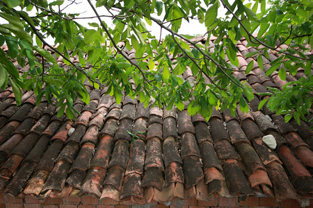 屋顶上的旧砖瓦背景图片