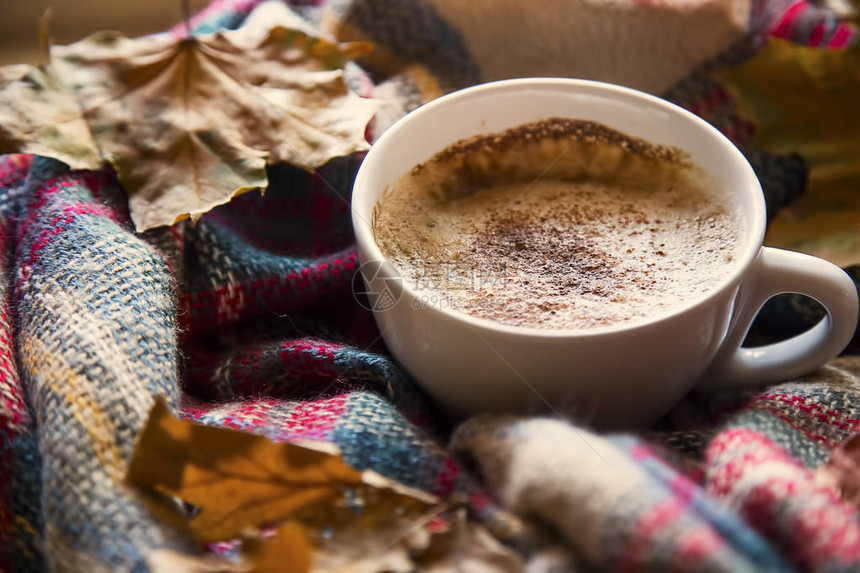 带舒适毯子和干叶的秋季咖啡杯图片
