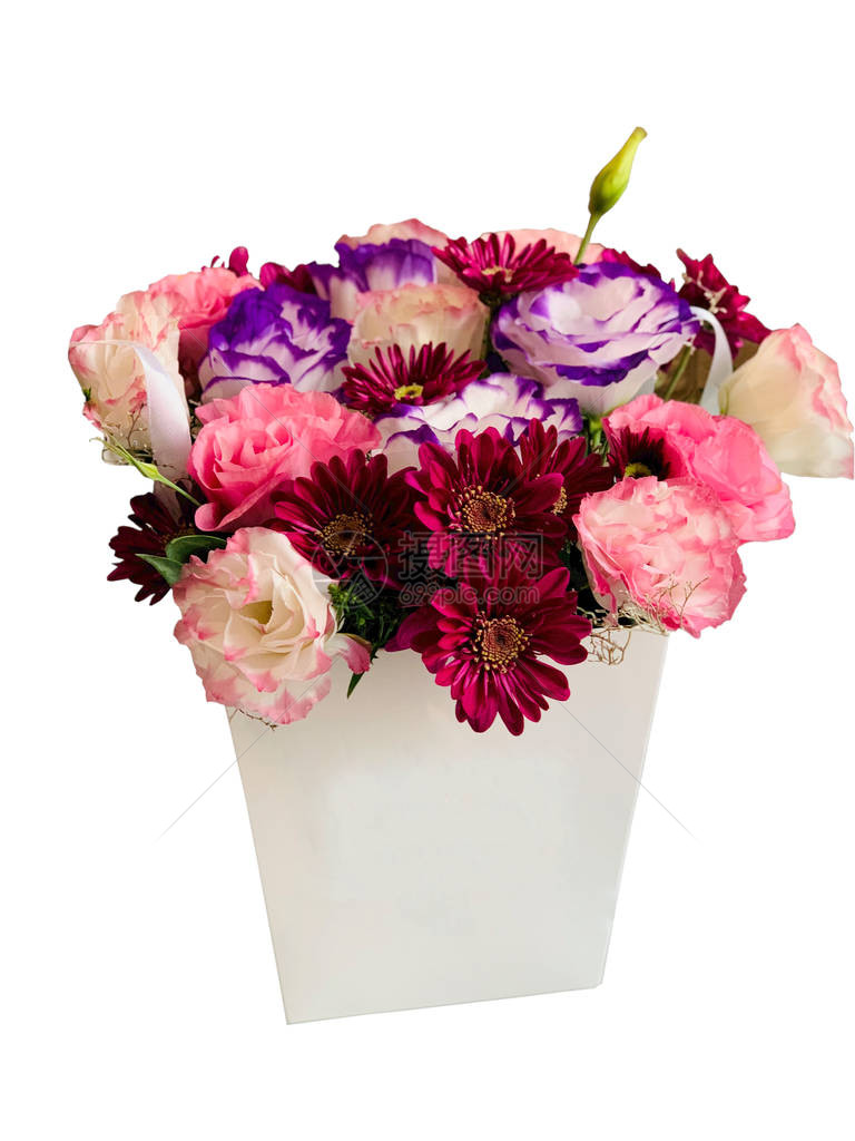花盆隔绝的一束花朵美丽的装饰花朵图片