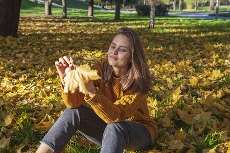 金色秋天概念穿着黄色毛衣的漂亮女孩坐在草地上图片