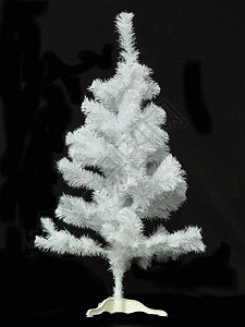 美丽的白圣诞树在黑色背图片