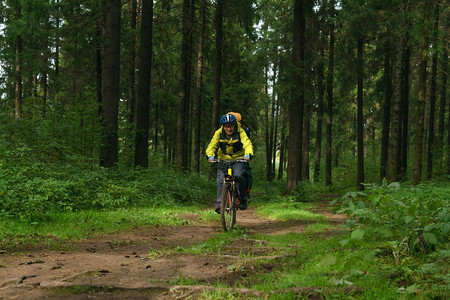 男骑自行车的男子在秋林中沿着一条宽阔的图片