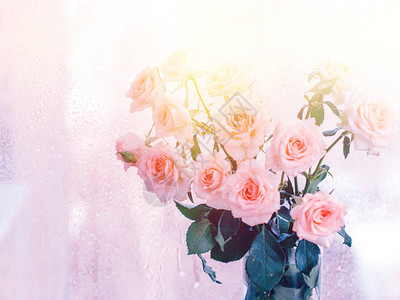 粉红玫瑰花束浪漫花朵复制空间图片