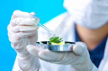 天然有机植物学和科学玻璃器皿替代草药天然护肤美容产品研发理念的生物图片