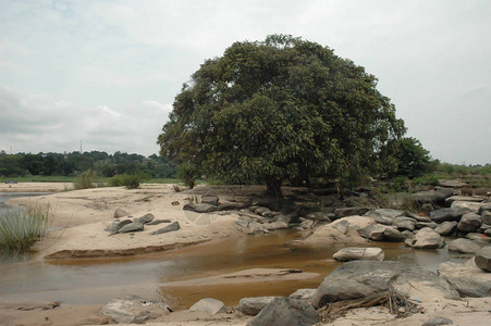 在刚果布拉柴维尔附近的康戈河旁图片