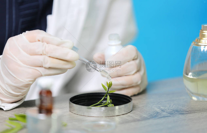 天然有机植物学和科学玻璃器皿替代草药天然护肤产品研发理念的生物图片