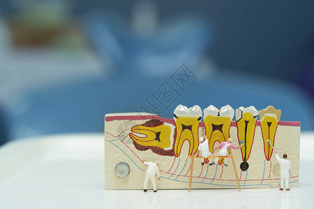 微型和牙科模式代图片