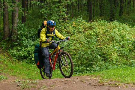 装备齐的男骑自行车者在fir森林中穿图片