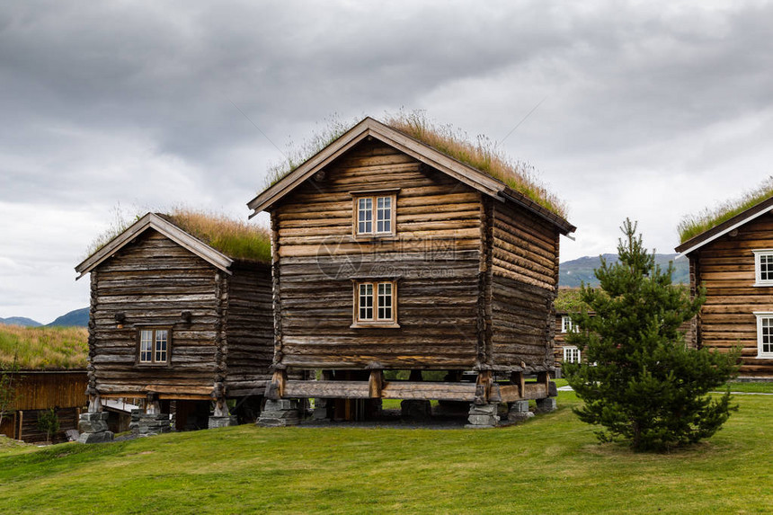 在挪威斯堪的纳维亚奥普达尔有屋顶覆盖草植物和鲜花的传统图片