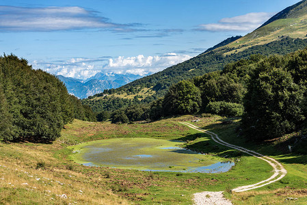意大利阿尔卑斯山谷的牲畜小湖图片