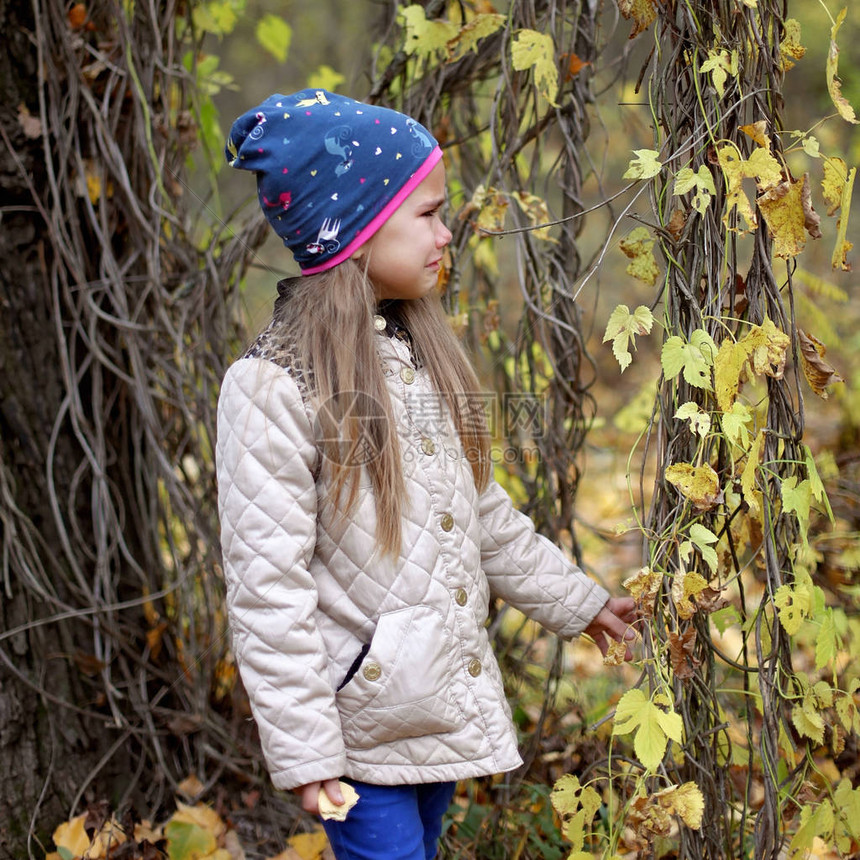 可爱的小女孩在秋森林中哭泣图片