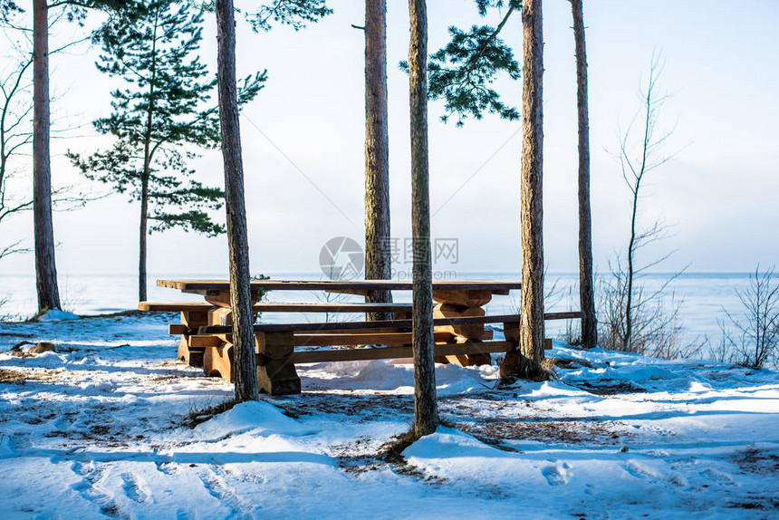 冬季风景白雪覆盖的海滨和绿树与图片