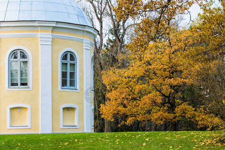 庄园和金树特写镜头晴朗的秋夜爱沙尼亚图片