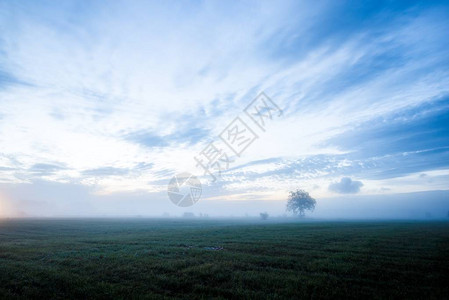 德国夏季日出紫色早晨天空和雾在田野图片