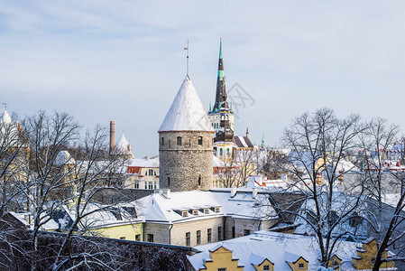 爱沙尼亚Tallinn老城冬季图片