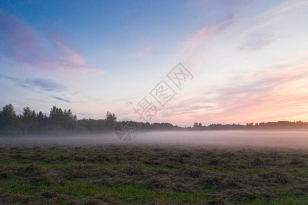 田野里匍匐的雾气图片