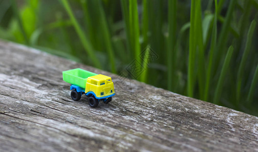 装有黄色出租车的玩具卡车和木质表面的绿体图片
