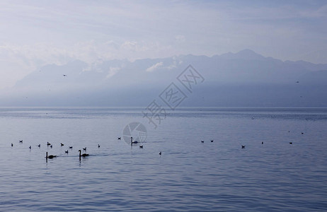日内瓦湖的风景与法国美丽的山脉和瑞士图片