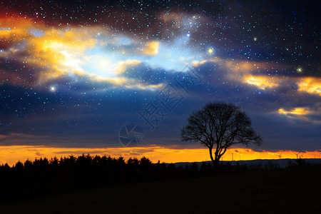 树的剪影与星的天空和大云背景图片