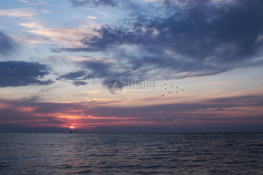 日落风景多汁的蓝粉红色天空海边国图片
