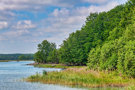海岸线上五颜六色的绿色森林瑞典图片