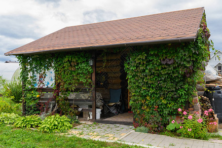 小的夏日小屋把植物挂图片