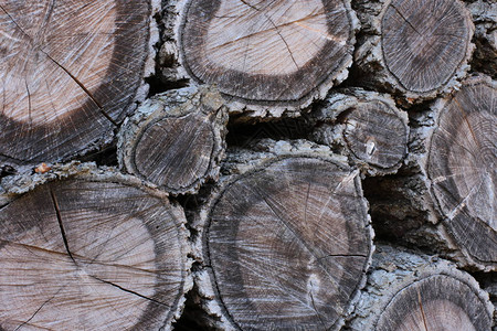 天然材料的原木和板材仓库图片