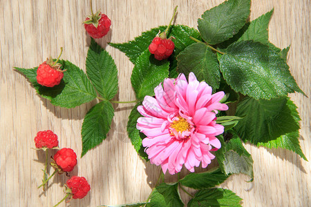 大粉红色花朵草莓和绿叶木图片