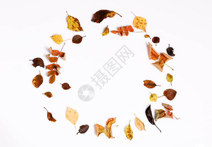 秋季组合物由秋季干燥的多色叶子和苦莓山楂浆果制成高清图片