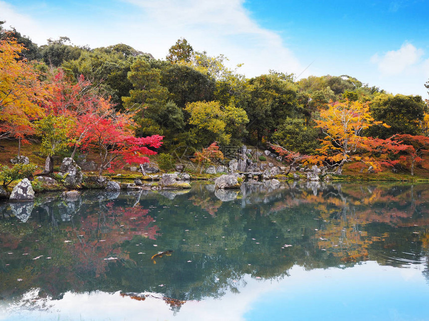 日本京都Tenryuji寺庙花园图片