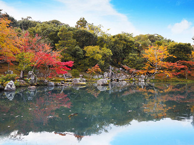 日本京都Tenryuji寺庙花园图片