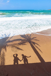 热带海滩纯净热带海滩棕榈树的阴影和沙滩图片