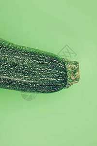 Zucchini以生机勃图片