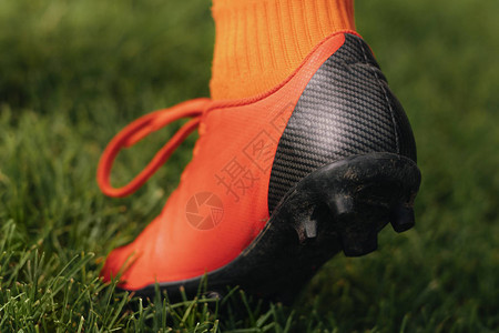 绿色草坪背景上的特写螺柱鞋在草地上的足球夹板足球员在足球鞋中迈出一步详背景图片