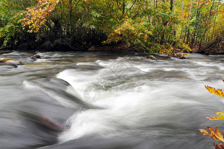 秋天的河流图片