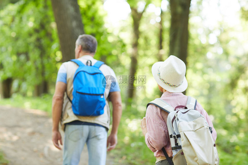 夏季在森林中走在人行道上的一对带背包的成熟徒步图片