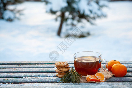 冬季森林里的一杯热茶橘子和饼干圣诞静物的概念复制空图片