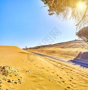 穿越干旱沙丘地带的图片