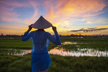 身戴越南传统帽子的女孩图片