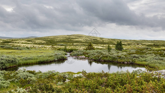 挪威奥普兰Rondane图片