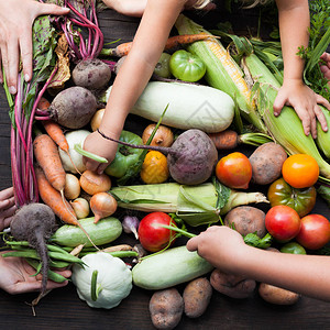有机蔬菜丰收秋季农业食品图片