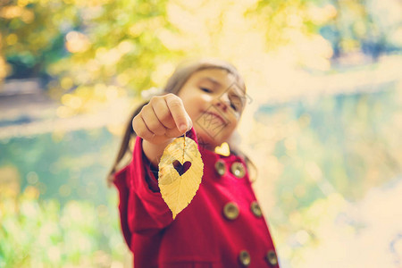 孩子穿着红大衣有秋叶爱情秋天图片