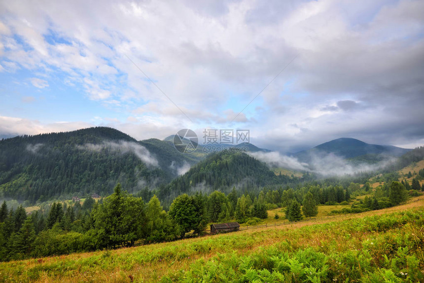 充满雾和丰富多彩的草药的惊人山地景观图片