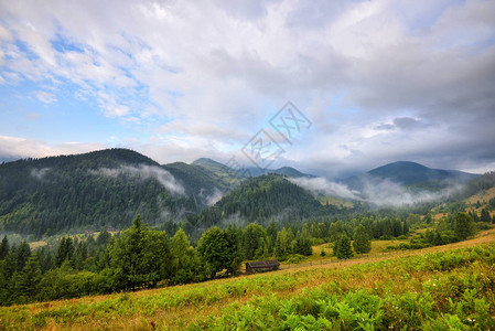 充满雾和丰富多彩的草药的惊人山地景观图片