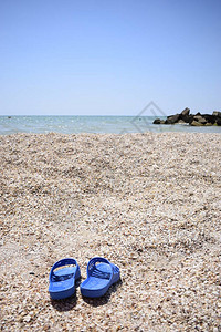 夏季拖鞋在靠近水的海滩上阳光明媚的日子里的贝壳热带海滩度图片