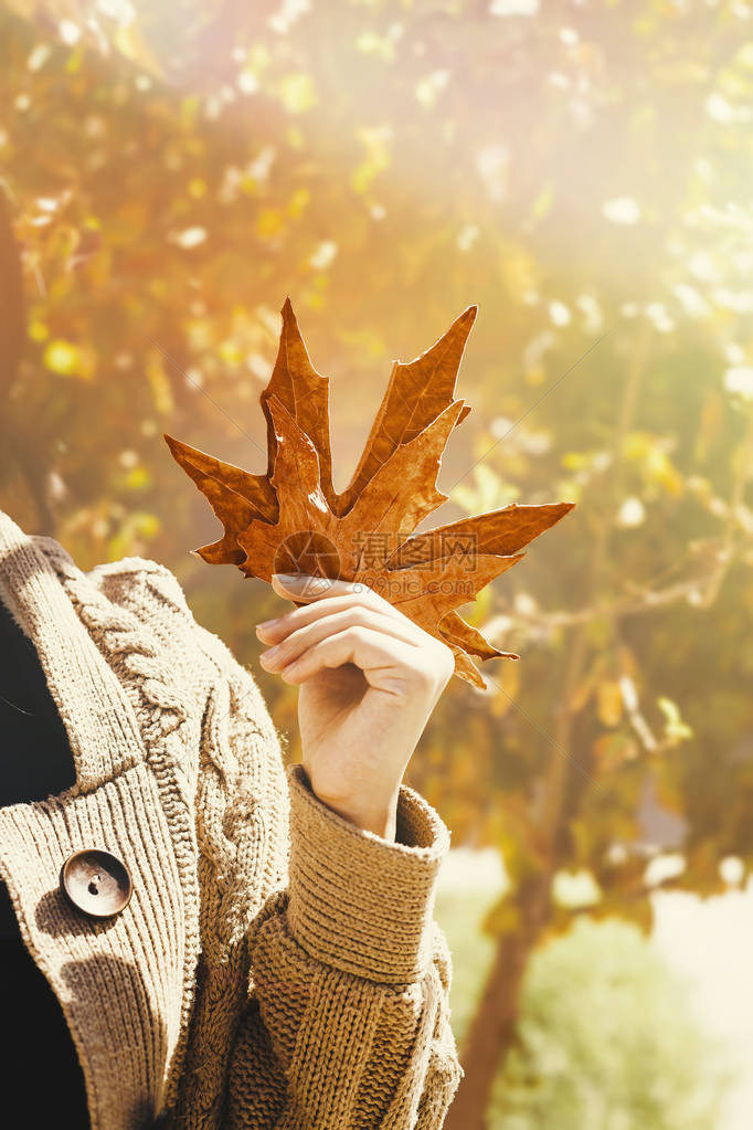 秋天的女人秋季的概念一张漂亮的女肖像图片