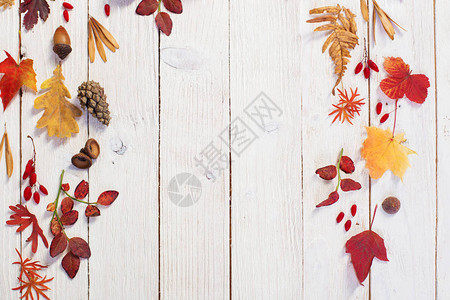具有秋季装饰品的秋天图片