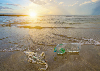 海滩塑料瓶躺在海滩上图片