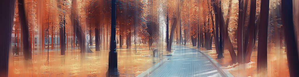秋季公园景观概念自然季节景观季节秋季森林图片