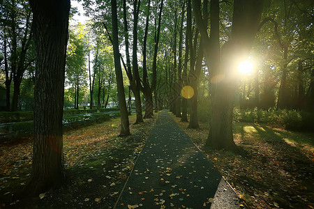 夏季公园景观季节景观图片